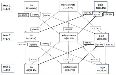 Stability of MDS-UPDRS Motor Subtypes Over Three Years in Early Parkinson's Disease